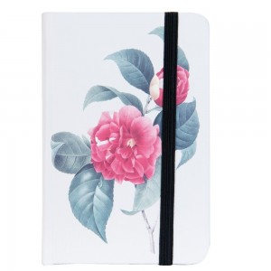 Carnet, Clayre & Eef Carnet, Clayre & Eef