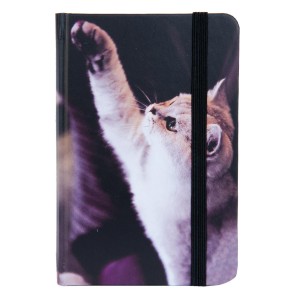 Carnet, Clayre & Eef Carnet, Clayre & Eef