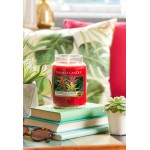 Lumanare Parfumata Borcan Mediu Tropical Jungle, Yankee Candle