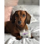 Sapun Vegan cu jucarie Puppy Love 100g, Bomb Cosmetics
