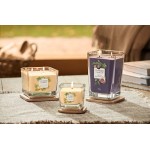 Lumanare Parfumata Elevation Collection Borcan Mediu Tonka Bean & Pumpkin, Yankee Candle