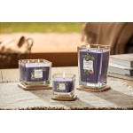 Lumanare Parfumata Elevation Collection Borcan Mediu Fig & Clove, Yankee Candle