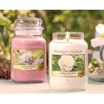 Lumanare Parfumata Borcan Mic Camellia Blossom, Yankee Candle