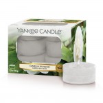 Set 12 lumanari parfumate tip pastila Camellia Blossom, Yankee Candle