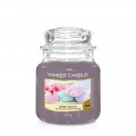 Lumanare Parfumata Borcan Mediu Berry Mochi, Yankee Candle