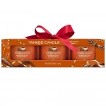 Yankee Candle Set 3 lumanari Mini in sticla Cinnamon Stick