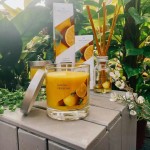 Rezerva pentru Betisoare parfumate Lemon Verbena 200ml