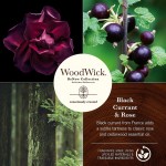 Lumanare Parfumata Borcan Mediu ReNew Black Currant & Rose, Woodwick