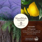 Lumanare Parfumata Borcan Mediu ReNew Lavender & Cypress, Woodwick