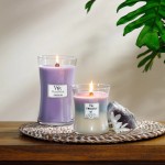 Lumanare Parfumata Borcan Mediu Trilogy Calming Retreat, WoodWick®