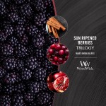 Lumanare Parfumata Ellipse Trilogy Sun Ripened Berries, WoodWick®