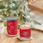 Yankee Candle Lumanare Parfumata Borcan Mediu Signature Sparkling Cinnamon