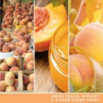 Yankee Candle Lumanare Parfumata Borcan Mediu Signature Farm Fresh Peach