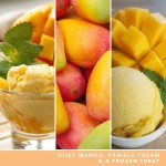 Yankee Candle Lumanare Parfumata Borcan Mediu Signature Mango Ice Cream