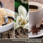 Yankee Candle Lumanare Parfumata Borcan Mediu Signature Vanilla Bean Espresso