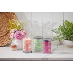 Yankee Candle Lumanare Parfumata Pahar Mare Signature Art in the Park