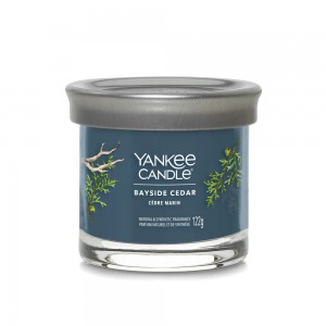 Yankee Candle Lumanare Parfumata Pahar Mic Signature Bayside Cedar Yankee Candle Lumanare Parfumata Pahar Mic Signature Bayside Cedar