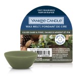 Ceara Parfumata Silver Sage & Pine, Yankee Candle