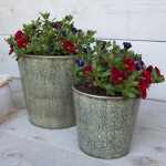 Vas decorativ pentru flori "Rustic Green" Ø 19x18 cm, Clayre & Eef