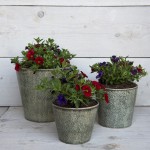 Vas decorativ pentru flori "Rustic Green" Ø 19x18 cm, Clayre & Eef