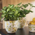 Vas decorativ pentru flori "Lemon" Ø 12x11 cm, Clayre & Eef