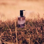 Sapun lichid Wild Heather 300ml, The Scottish Fine Soaps