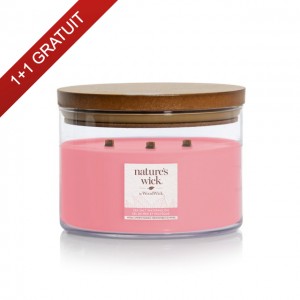 Lumanare parfumata Sea Salt Watermelon 433g cu 3 fitiluri, Nature's Wick