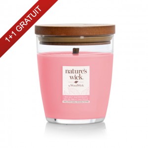 Lumanare parfumata Sea Salt Watermelon 284g, Nature's Wick