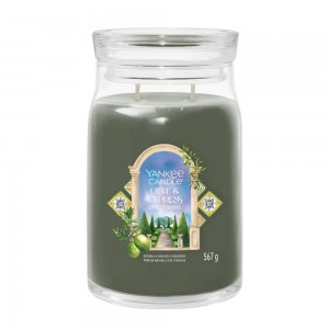 Yankee Candle Lumanare Parfumata Borcan Mare Signature Olive & Cypress Yankee Candle Lumanare Parfumata Borcan Mare Signature Olive & Cypress