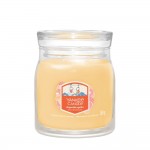 Yankee Candle Lumanare Parfumata Borcan Mediu Signature Slopeside Spritz