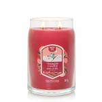 Yankee Candle Lumanare Parfumata Borcan Mare Signature Santa On Skis
