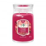 Yankee Candle Lumanare Parfumata Borcan Mare Signature Santa On Skis
