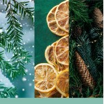 Yankee Candle Lumanare Parfumata Borcan Mare Signature Holiday Winterfest