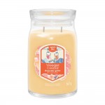 Yankee Candle Lumanare Parfumata Borcan Mare Signature Slopeside Spritz