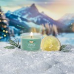 Yankee Candle Lumanare parfumata Mini in sticla Holiday Winterfest