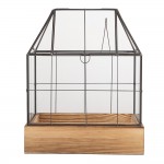 Mini sera decorativa pentru plante 26x17x32 cm sticla transparenta