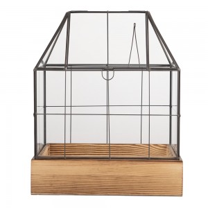 Mini sera decorativa pentru plante 26x17x32 cm sticla transparenta
