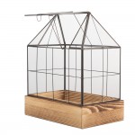Mini sera decorativa pentru plante 26x17x32 cm sticla transparenta