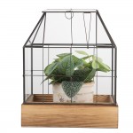 Mini sera decorativa pentru plante 26x17x32 cm sticla transparenta