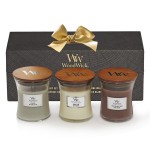 Set Cadou 3 Lumanari Borcan Mini Woody, Woodwick