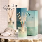 Betisoare Parfumate Marine Drift 150ml, Chesapeake Bay Candle Betisoare Parfumate Marine Drift 150ml, Chesapeake Bay Candle