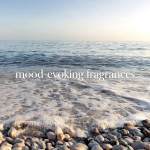 Lumanare Parfumata Pahar Mare Salted Sands, Chesapeake Bay Candle