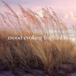 Lumanare Parfumata Pahar Mare Ocean Blossom, Chesapeake Bay Candle Lumanare Parfumata Pahar Mare Ocean Blossom, Chesapeake Bay Candle