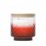 Lumanare Parfumata Pahar Mare Harbour Holiday, Chesapeake Bay Candle Lumanare Parfumata Pahar Mare Harbour Holiday, Chesapeake Bay Candle