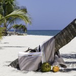 Simone et Georges Geanta bumbac pentru plaja, 44x54x22cm, Nomad