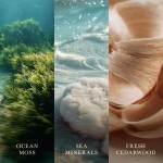 Lumanare Parfumata Borcan Mic Cedarwood & Ocean Moss, WoodWick® Lumanare Parfumata Borcan Mic Cedarwood & Ocean Moss, WoodWick®