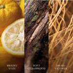 Lumanare Parfumata Borcan Mediu Yuzu & Vetiver, WoodWick® Lumanare Parfumata Borcan Mediu Yuzu & Vetiver, WoodWick®