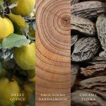 Lumanare Parfumata Borcan Mic Cashmere, WoodWick® Lumanare Parfumata Borcan Mic Cashmere, WoodWick®