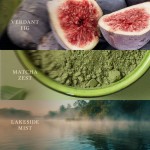 Lumanare Parfumata Ellipse Trilogy Verdant Woods, WoodWick® Lumanare Parfumata Ellipse Trilogy Verdant Woods, WoodWick®