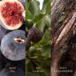 Lumanare Parfumata Borcan Mare Verdant Fig, WoodWick® Lumanare Parfumata Borcan Mare Verdant Fig, WoodWick®